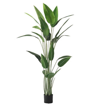 70.9"Artificial Canna Tree 1 Piece Faux Indoor Plant
